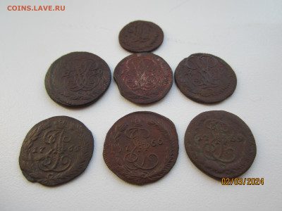 7 монет Полушка и Денги 1759-1769 до 07.03.24 22:30 МСК - IMG_1686.JPG