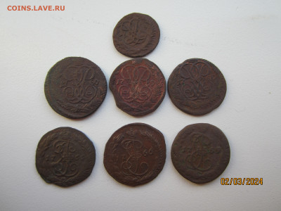 7 монет Полушка и Денги 1759-1769 до 07.03.24 22:30 МСК - IMG_1684.JPG