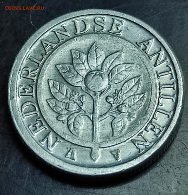 Нидерландские Антилы 1 цент 2016 до 7.03.2024 - IMG_20240303_070932
