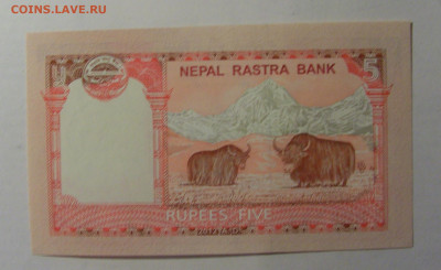 5 рупий 2012 Непал (984) 13.03.24 22:00 М - CIMG1151.JPG