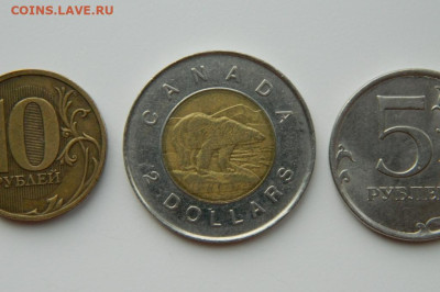 Канада 2 доллара 1997 г. (Фауна) БИМ до 16.03.24 - DSCN4773.JPG