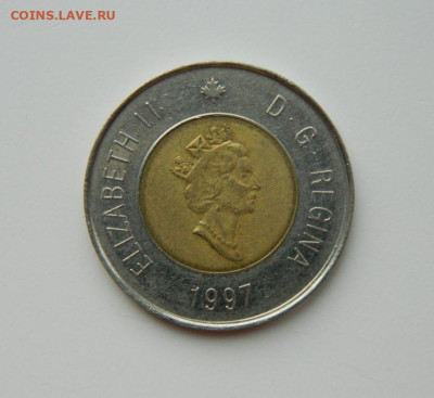 Канада 2 доллара 1997 г. (Фауна) БИМ до 16.03.24 - DSCN4775.JPG
