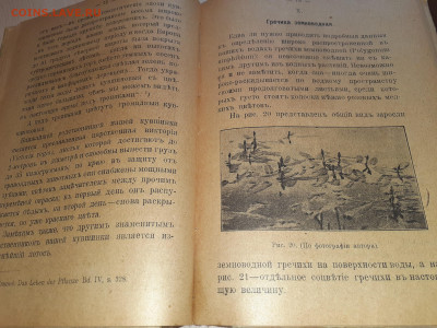 Книга Средь вод и болот 1917г Петроград - 20240326_070711