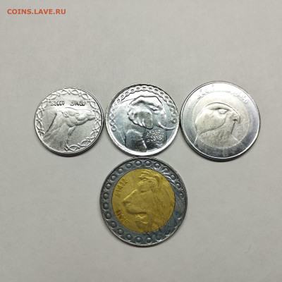 4 монеты Алжира, до 20.04.24г. - IMG_20240417_143707