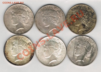Серебряные доллары США! - 019