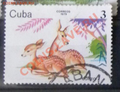 Меняю марки или продаю - Фауна Кубы.JPG