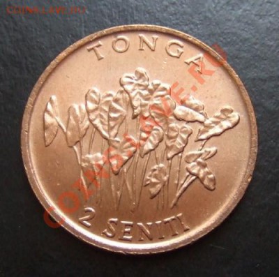 ТОНГА 2 сенити (1996) Ф.А.О.  до 12.03. (21.30) - Тонга 2 сенити Р